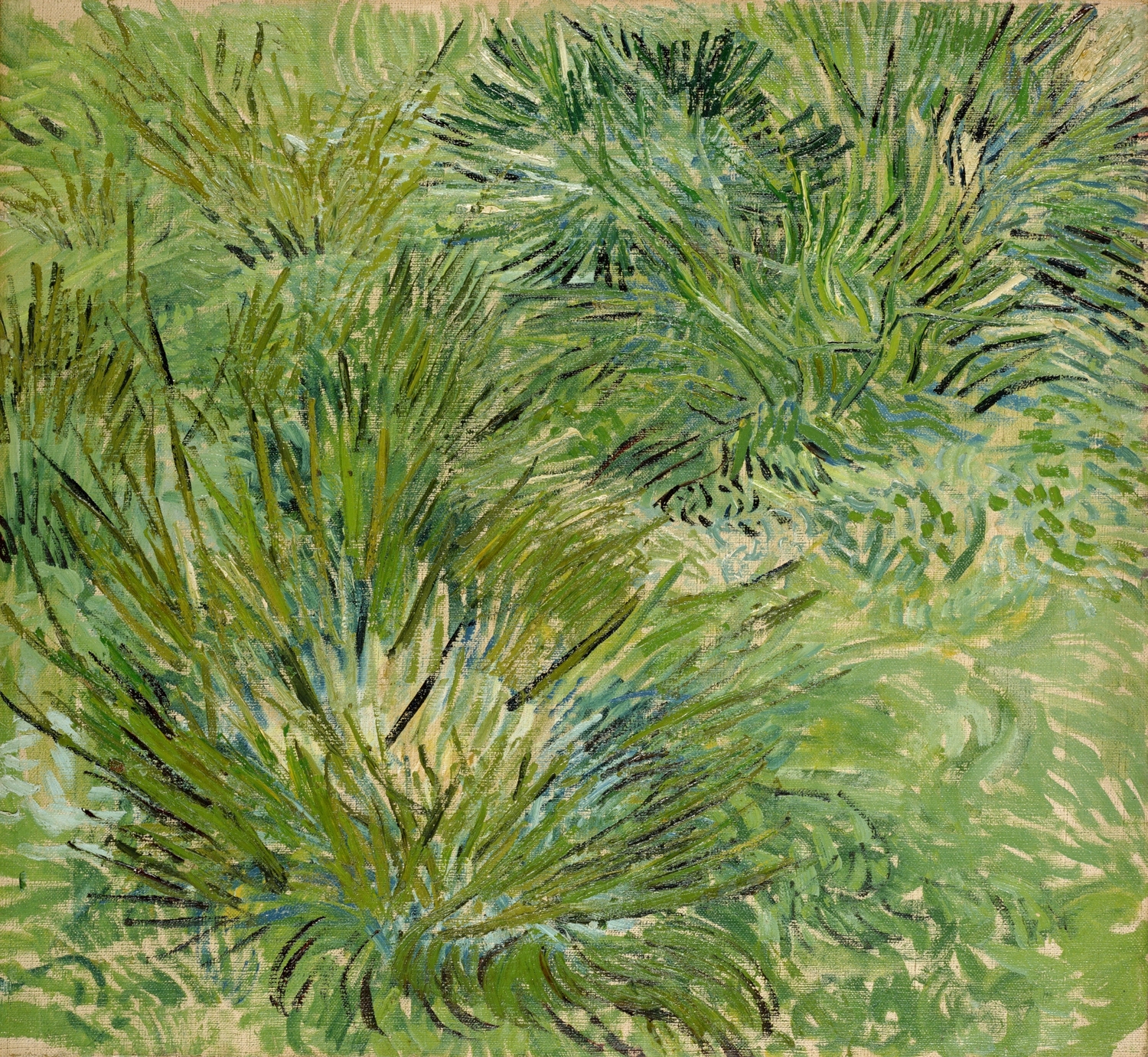 Amazon.co.jp: ポスター印象派の画家Vincent Van Goghフィン